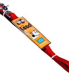 GoGo® Small 5/8" x 4' Red Leash
