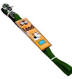 GoGo® Small 5/8" x 4' Green Leash