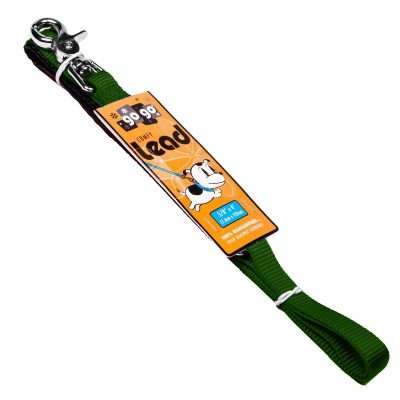 GoGo® Small 5/8" x 4' Green Leash