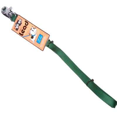 GoGo® Small 5/8" x 6' Green Leash