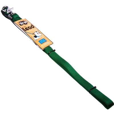 GoGo® Medium 3/4" x 6' Green Leash