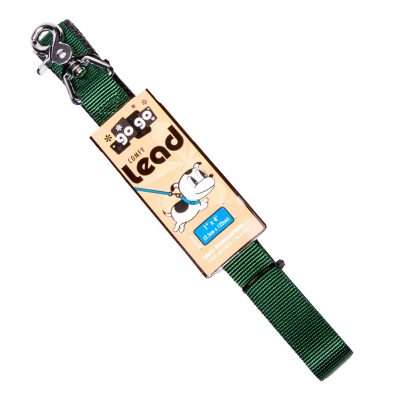 GoGo® Large 1" x 4' Green Leash
