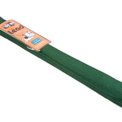 GoGo® Large 1" x 6' Green Leash