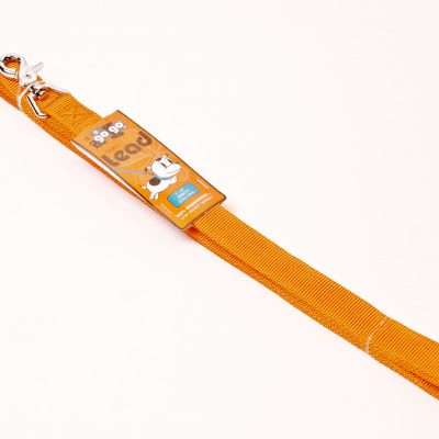 GoGo® Large 1" x 6' Orange Leash