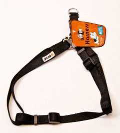 GoGo® Medium 3/4" Black Harness