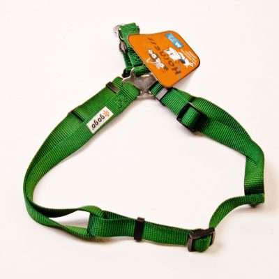 GoGo® Medium 3/4" Green Harness