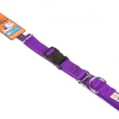 GoGo® Medium 3/4" x 16"-21" Purple Martingale Collar