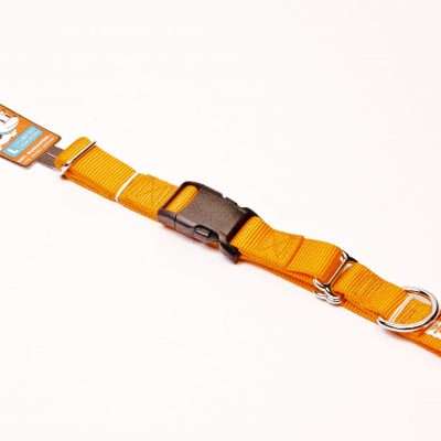 GoGo® Large 1" x 20.5"-27.5" Orange Martingale Collar