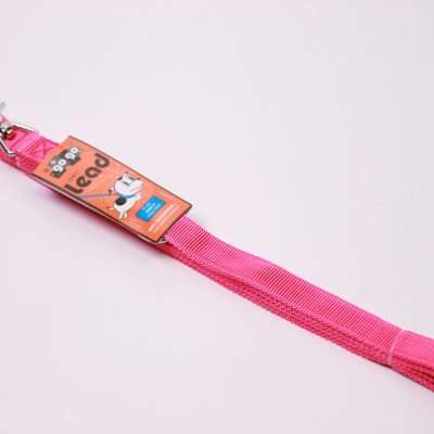 GoGo® Large 1" x 6' Pink Leash