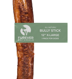 EW 25 pack 12 inch XL Bully Stick