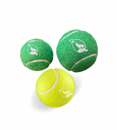 EW 2.5" Yellow Squeaky Tennis Ball 12 Pack