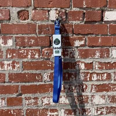 BPS 1" x 6' Blue Comfy Double Nylon Leash