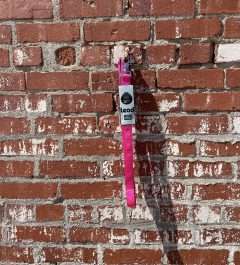 BPS 1" x 6' Pink Comfy Double Nylon Leash