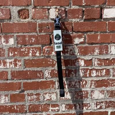 BPS 1" x 6' Black Comfy Double Nylon Leash