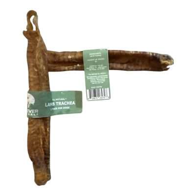 EW Lamb Trachea