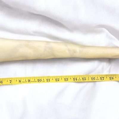 GoGo 6 pack Full Length Beef Dino Tail